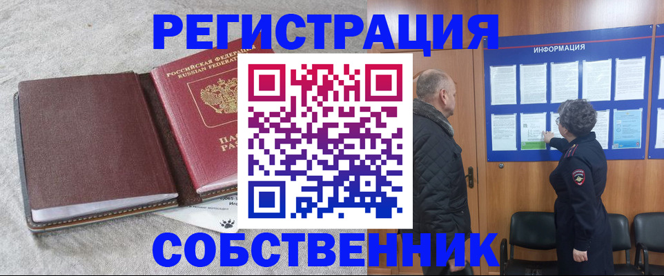 временная регистрация надежно в Моршанске